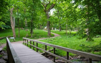 Dalby Söderskog Nationalpark