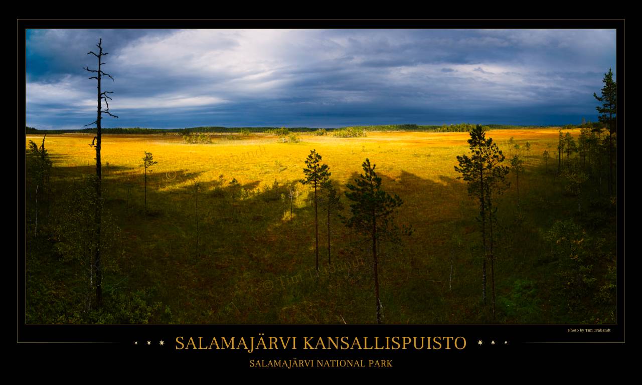 Poster vom Moor des Salamajärvi Nationalparks