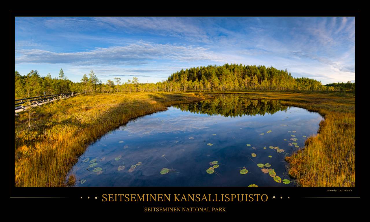 Poster vom Moor des Salamajärvi Nationalparks