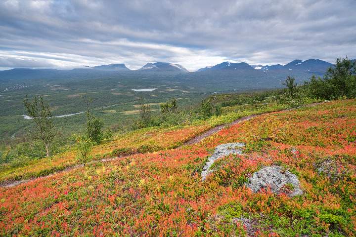 Ausblick in den Abisko Nationalpark mit herbstlich verfärbter Fjälllandschaft im Vordergrund und tiefhängenden dramatischen Wolken