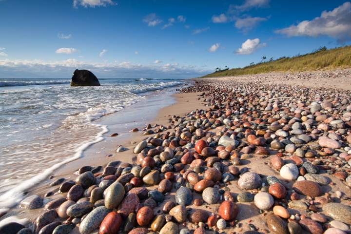 Glänzende Kieselsteine am Strand in der Sonne von Gotska Sandön