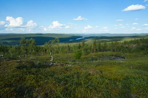 Eine Aussicht vom Gipfel des Fjälls im Lemmenjoki Nationalpark. Unterhalb der Fjäll-Hochfläche breitet sich Nadelwald aus, der nur vom Flusslauf des Lemmenjoki unterbrochen wird.