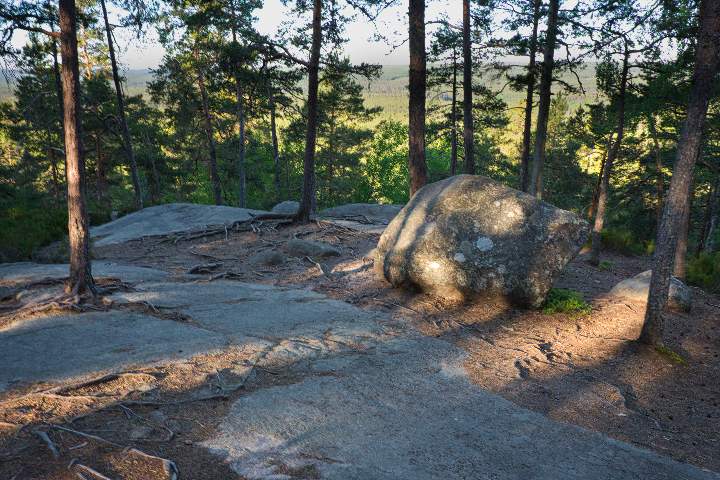 Aussicht durch die Bäume am Aussichtpunkt Idhöjden im Norra Kvill Nationalpark. Auf Granitplatten wachsen Kiefern und liegt ein Felsbrocken.