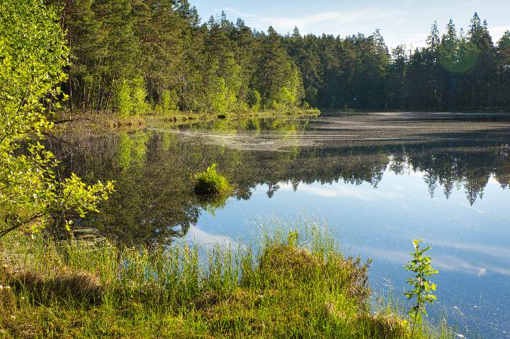 Der See Stora Idgölen liegt Malerisch im Wald des Norra Kvill Nationalpark.
