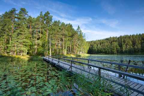 Eine Brücke führt im Nuuksio Nationalpark zu einer Insel im See