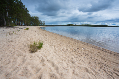Langer Sandstrand unter dramatischem Himmel im Patvinsuo-Nationalpark in Ostfinnland.