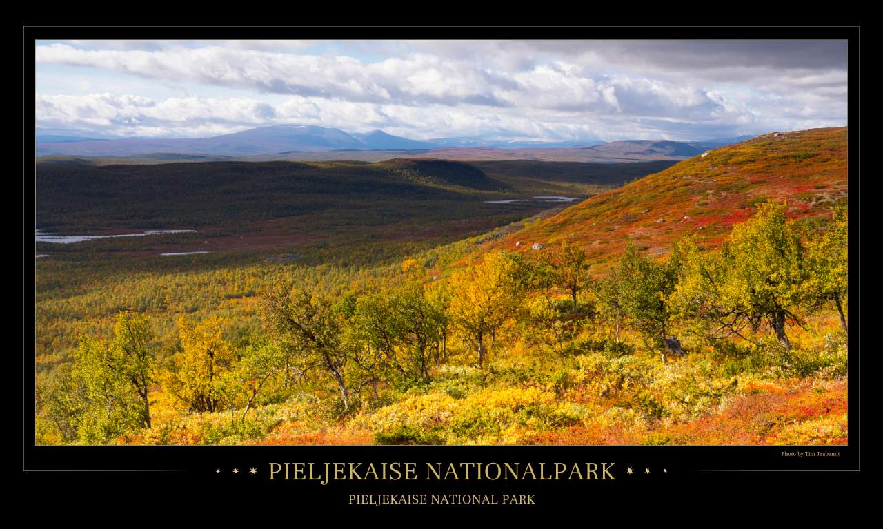 Blick auf die herbstliche Fjälllandschaft des Pieljekaise Nationalparks in Schweden