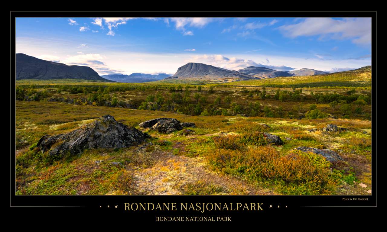 Weite Fjälllandschaft, in der noch einige Birken wachsen, mit Blick auf die Berge des Rondane Nationalparks in Norwegen.