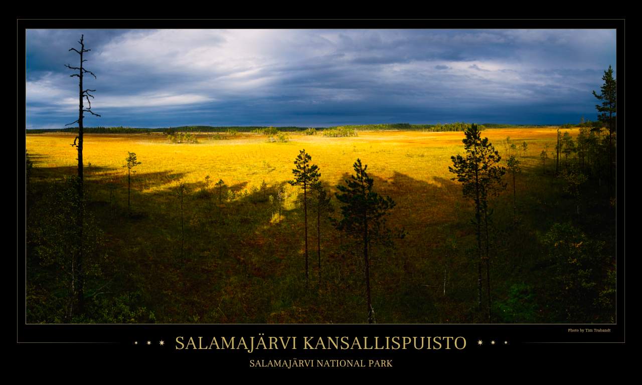 Spektakuläre Lichtstimmung über dem Moor des Salamajärvi Nationalparks.