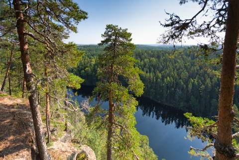 Aussicht vom Kalajanvuori zwischen Kiefern hindurch auf den Vuori Kalaja See im Süd-Konnevesi Nationalpark