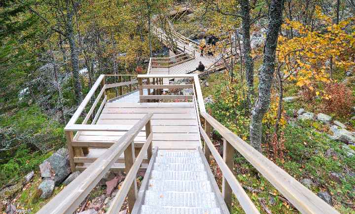 Eine aufwändig in den Hang gebaute Holztreppe führt zum Bach, der vom Wasserfall des Njupeskär aus dem Fulufjället Nationalpark hinausfließt.