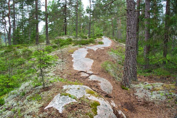 Auf den Bergrücken im Tresticklan Nationalpark liegen die Felsen durch die Begehung frei. Die Wege folgen so der natürlichen Landschaft.