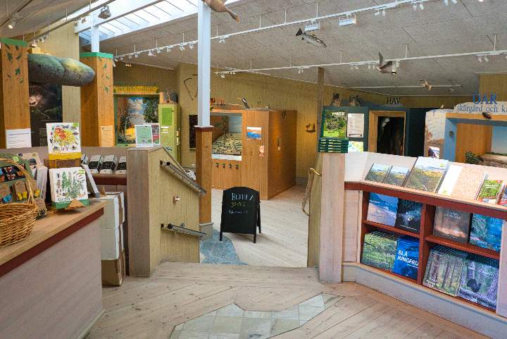 Im Inneren des Naturum Besucherzentrums im Tyresta Nationalpark führt eine Treppe hinunter zu den Ständen, die zu verschiedenen Themen und Nationalparks informieren. Auf der Seite liegen Bücher aus.