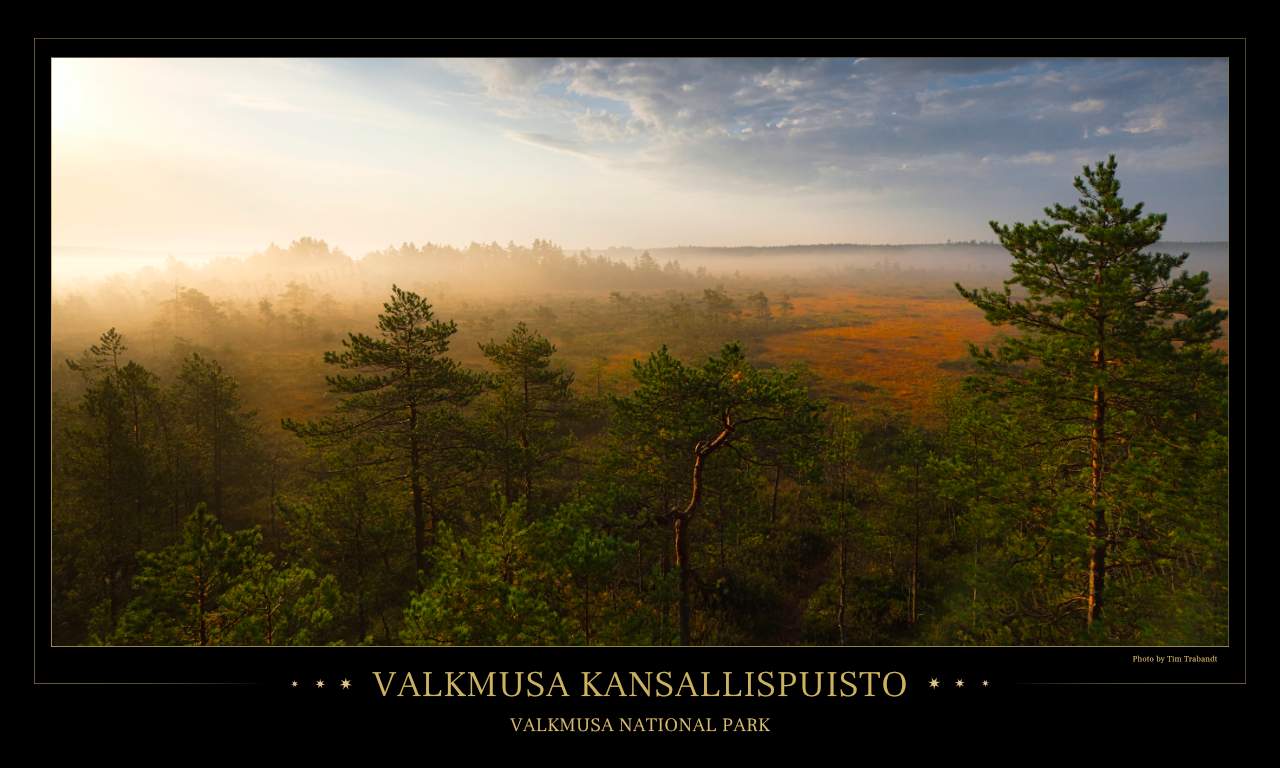 langsam lichtet sich der Nebel über dem Moor des Valkmusa Nationalparks in Finnland. Der Blick vom Aussichtsturm schweift über offene Moorflächen, und Wälder, während der Mix aus Nebel und Sonne die Landschaft in ein mystisches Licht taucht.